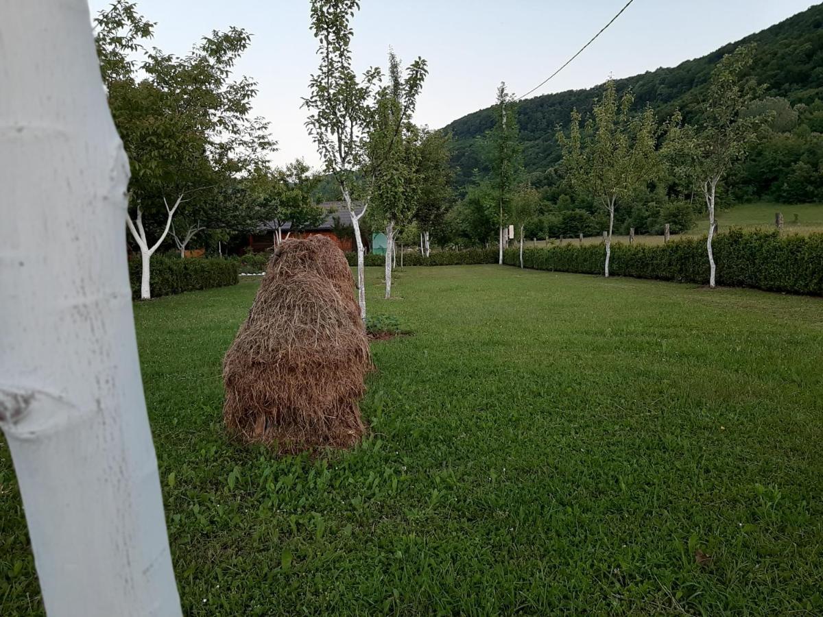 Rest House Ripac Prascijak Bagian luar foto