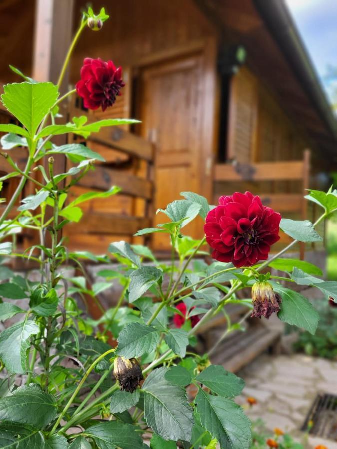 Rest House Ripac Prascijak Bagian luar foto